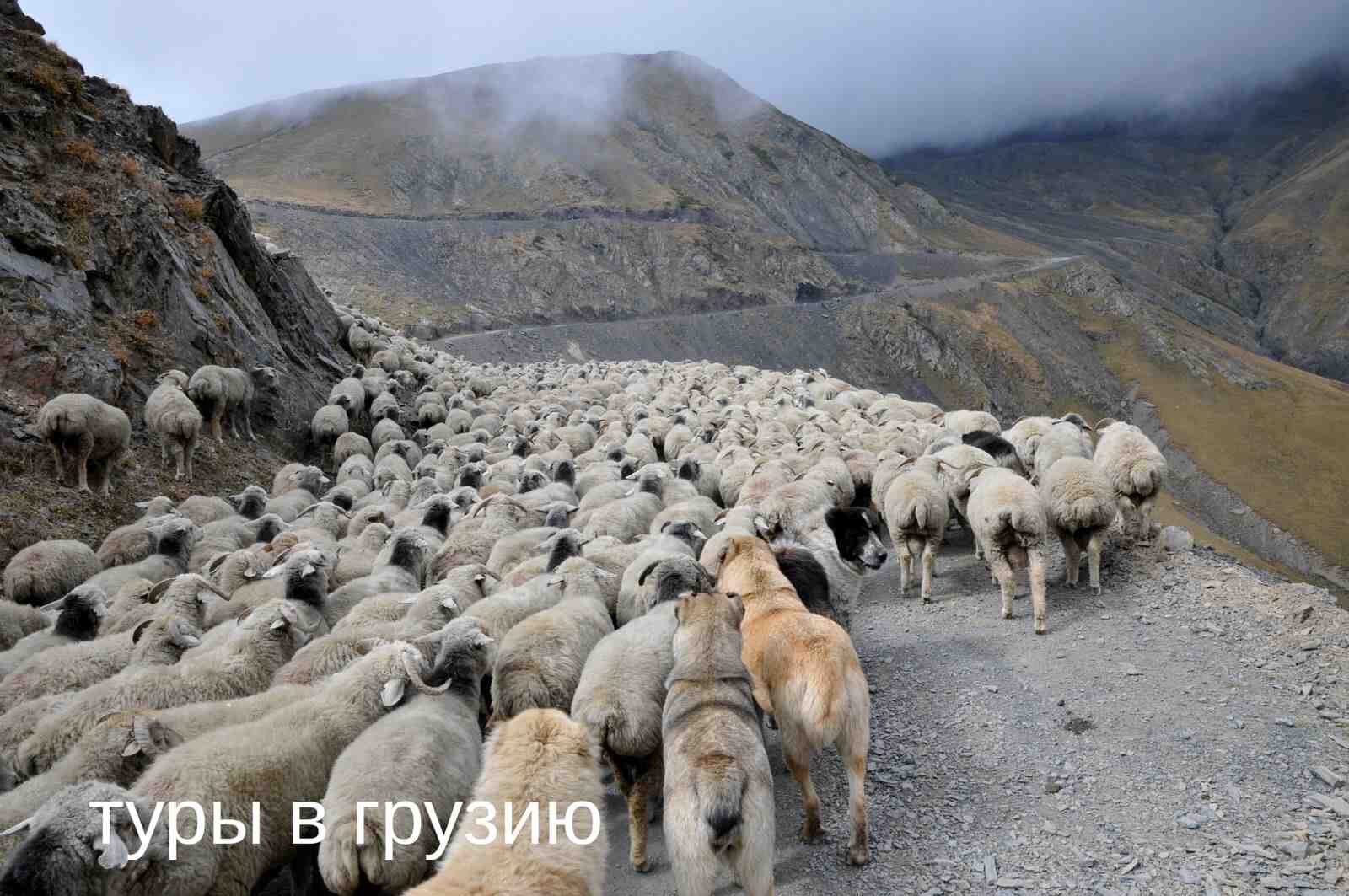 Туры в Грузию с перелетом: Откройте для себя прекрасные морские курорты